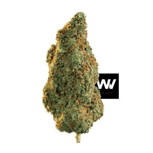 Gorilla Glue