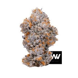 Biscotti Strain