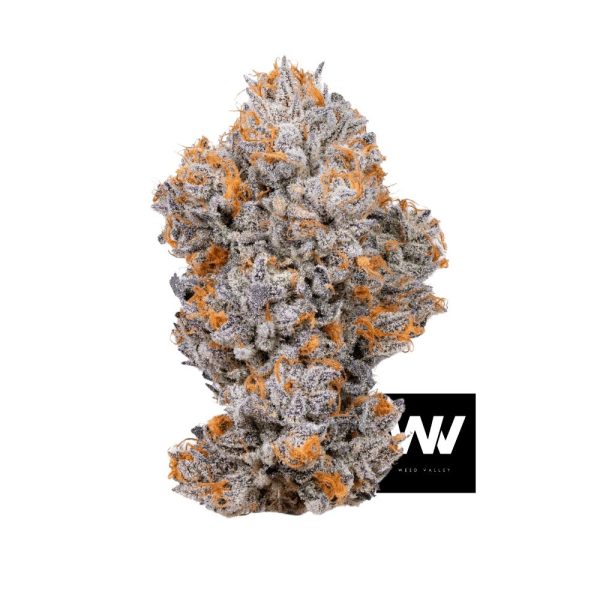 Biscotti Strain