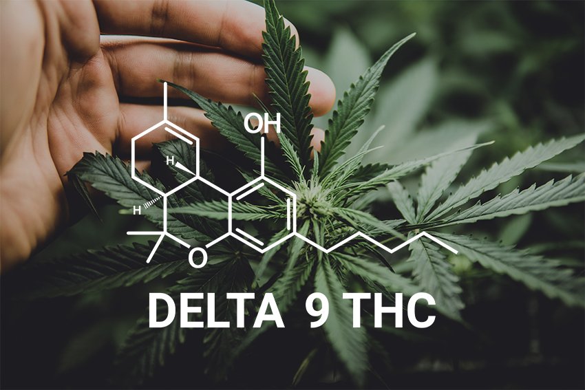 Convert THC to THCA in DC