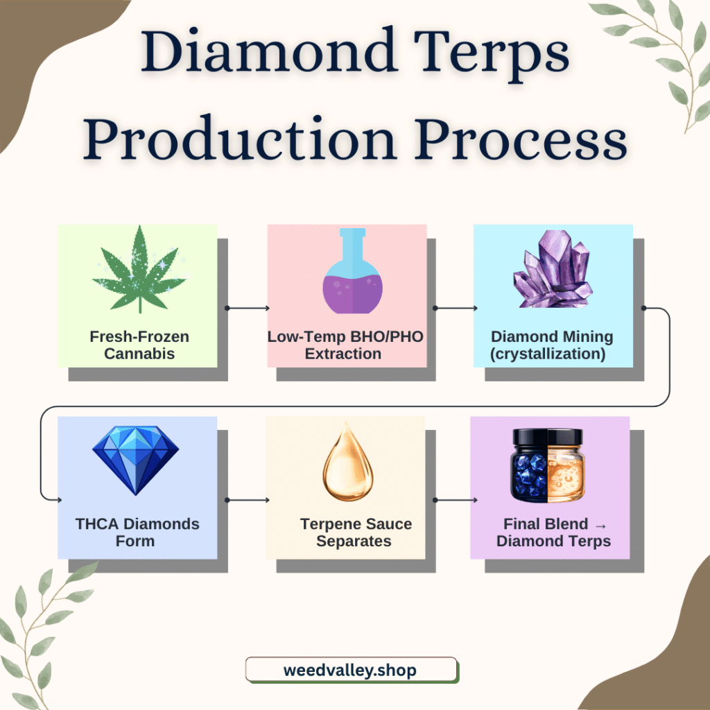Diamond Terps production explained in six steps, from extraction to final product