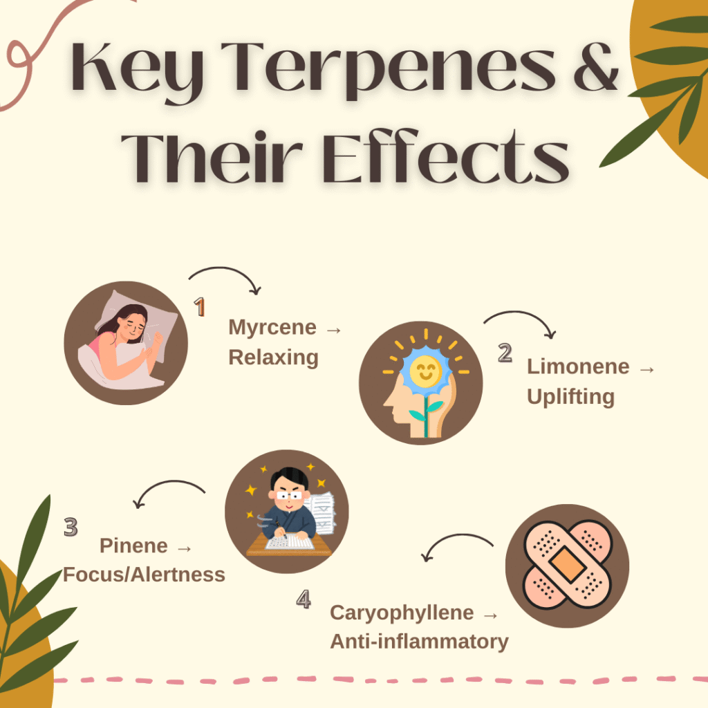 Key cannabis terpenes and their effects on mood, relaxation, and energy