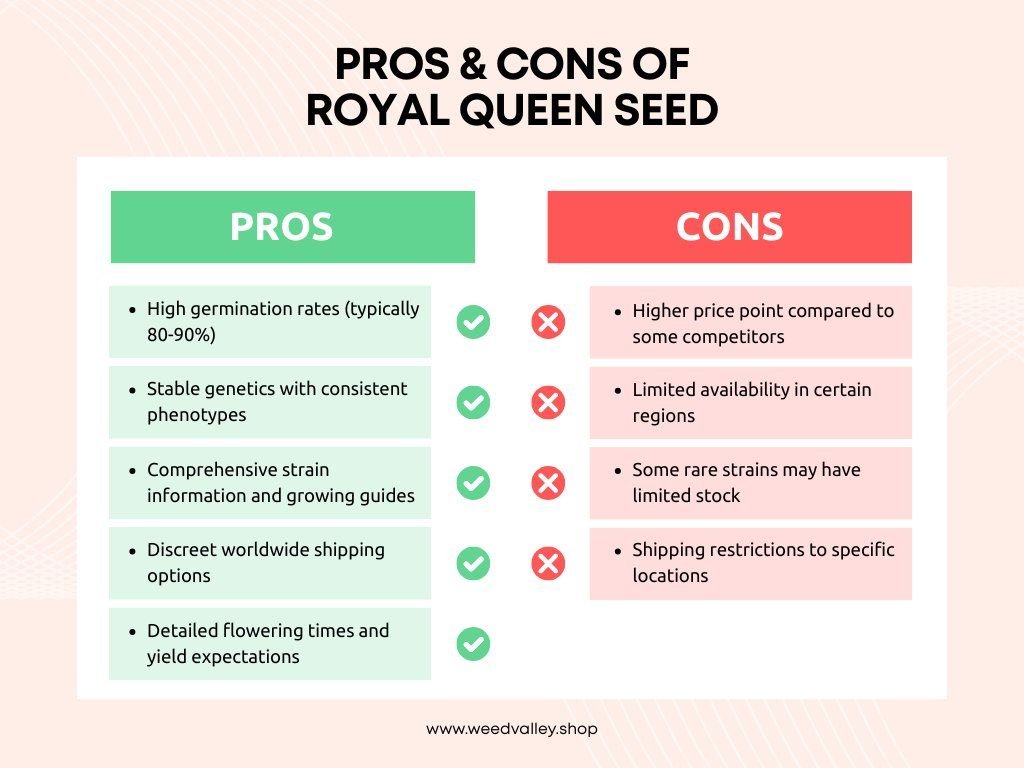 Royal-queen-seed-pros-and-cons