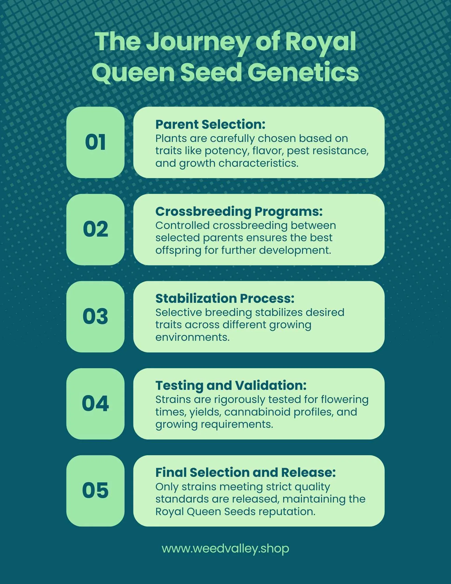 royal-queen-seeds-usa