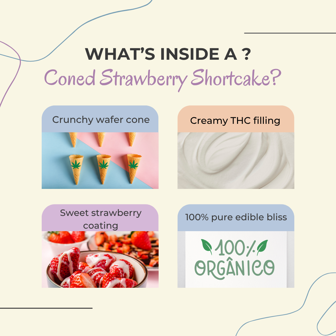 Illustration showing the inside of a THC-infused strawberry shortcake edible cone: wafer cone base, creamy THC filling, strawberry crumble topping, and subtle cannabis leaf accents
