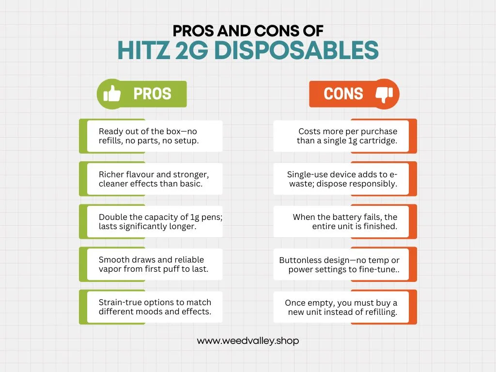 Pros-and-cons-of-Hitz-disposable