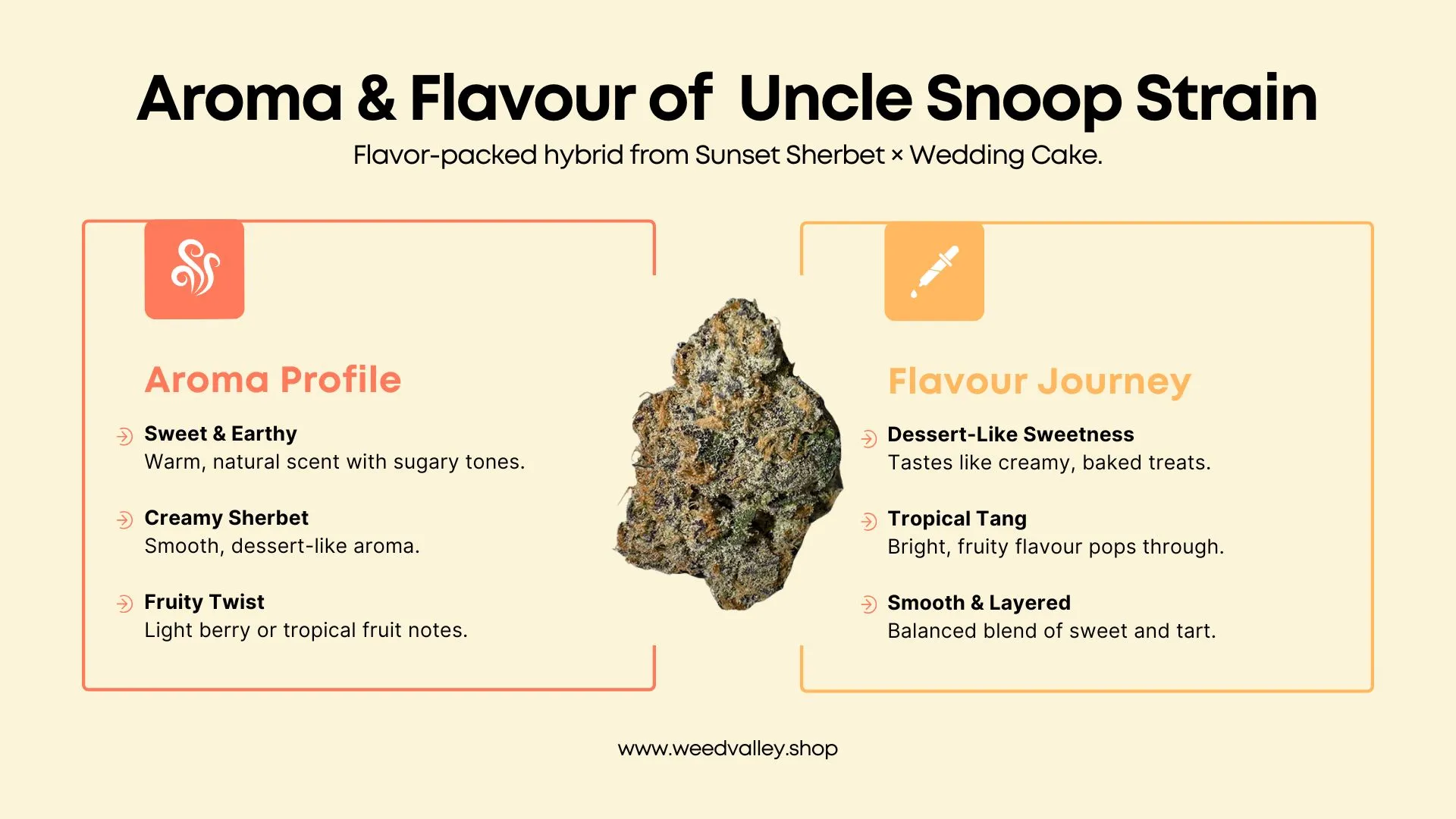 Uncle-Snoop-Strain-Aroma-and-Flavour