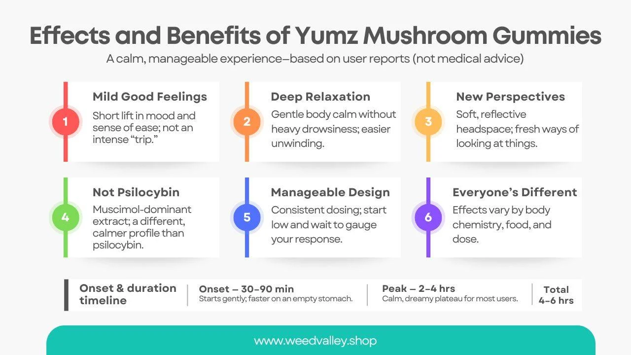 amanita-gummies-effects