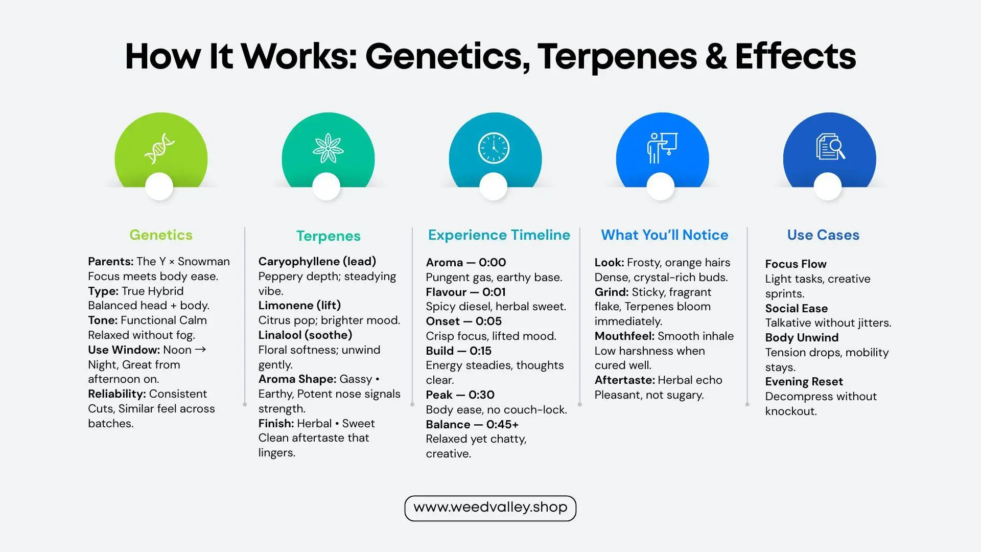 gary-payton-strain-flavour