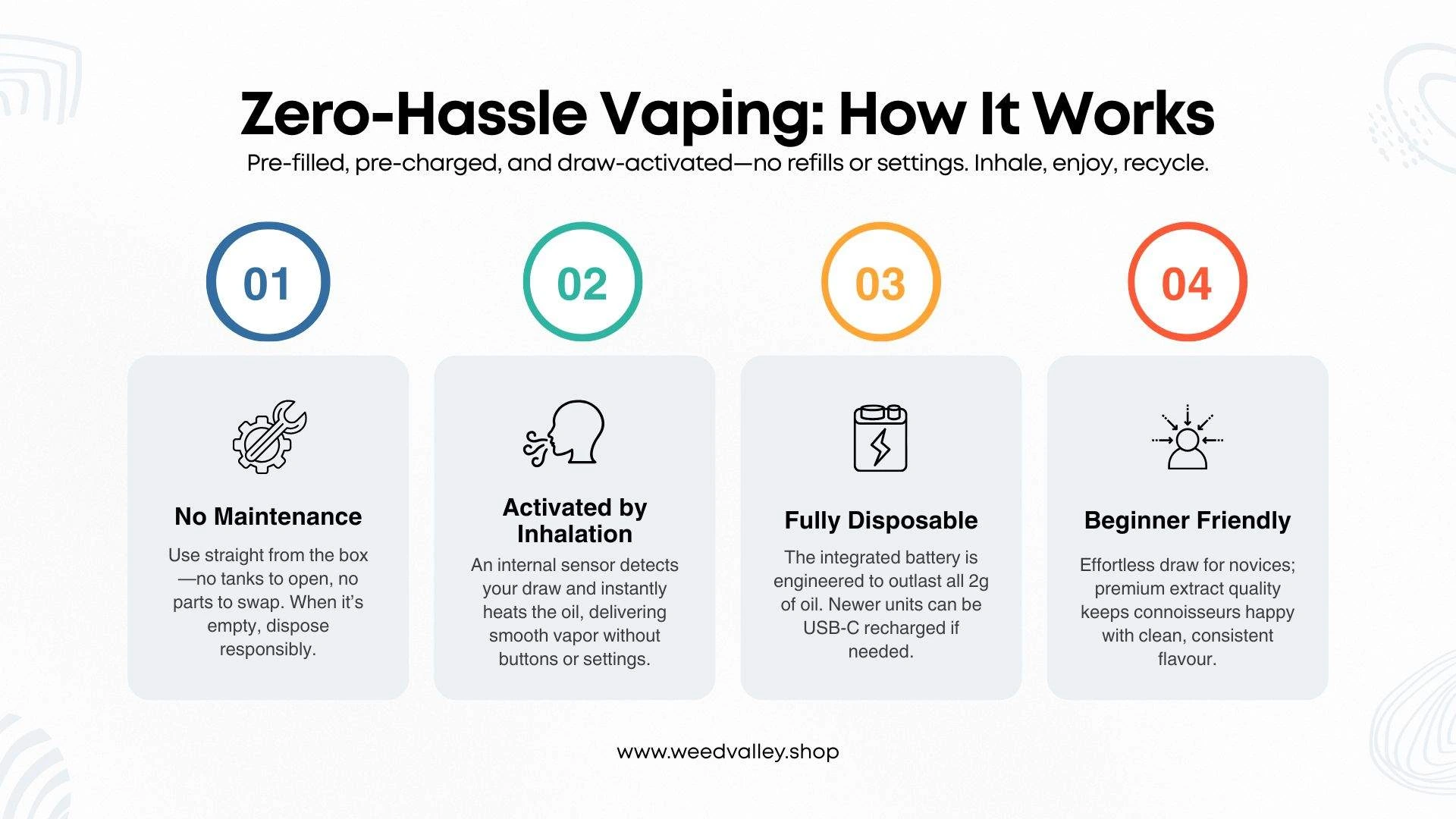 hitz-disposable-review