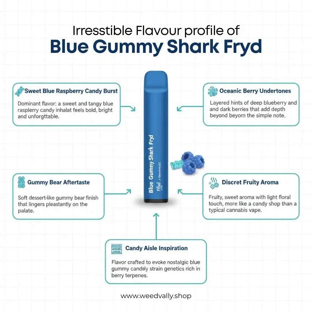 Blue-Gummy-Shark-Fryd