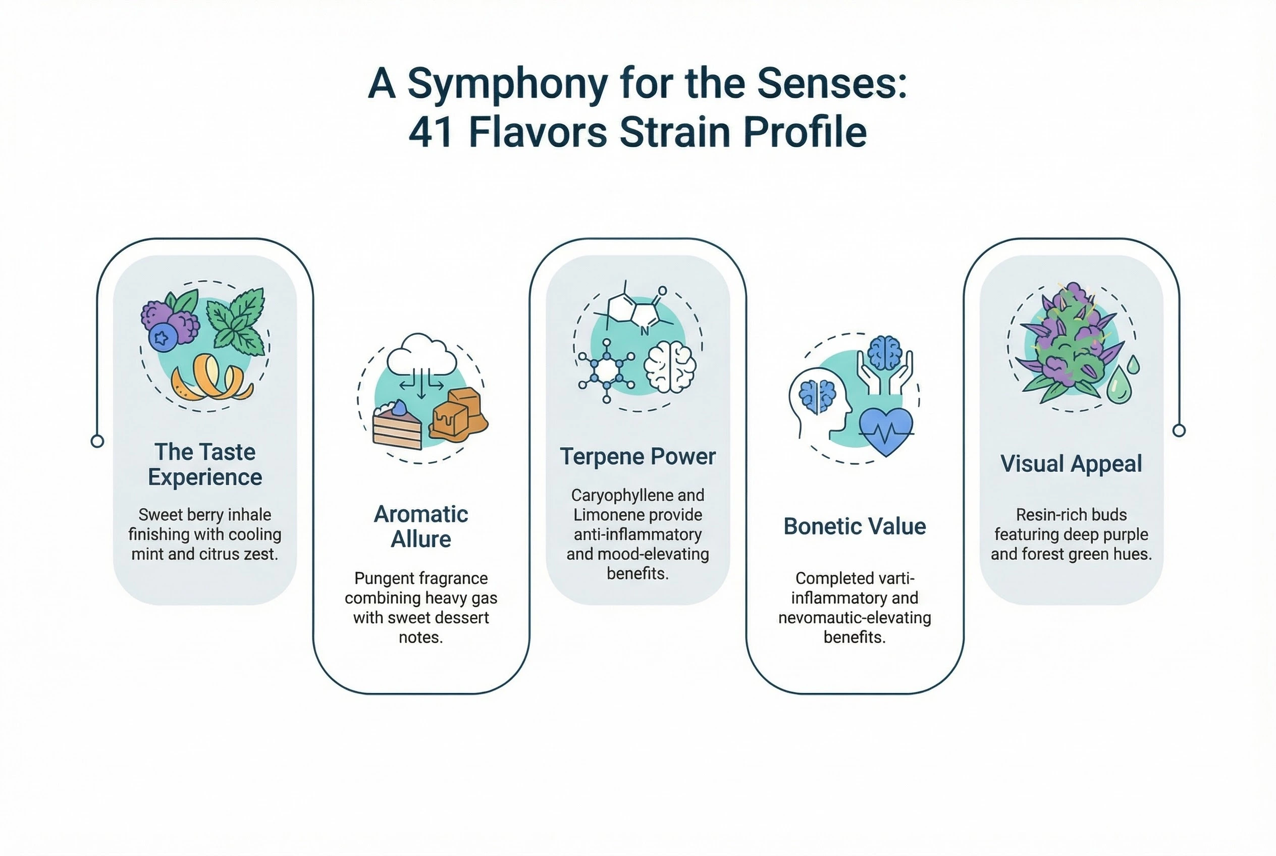 41 flavors strain complete profile