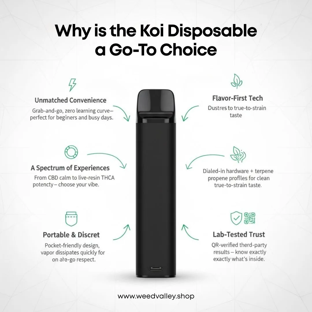 koi-disposable-delivery-dc