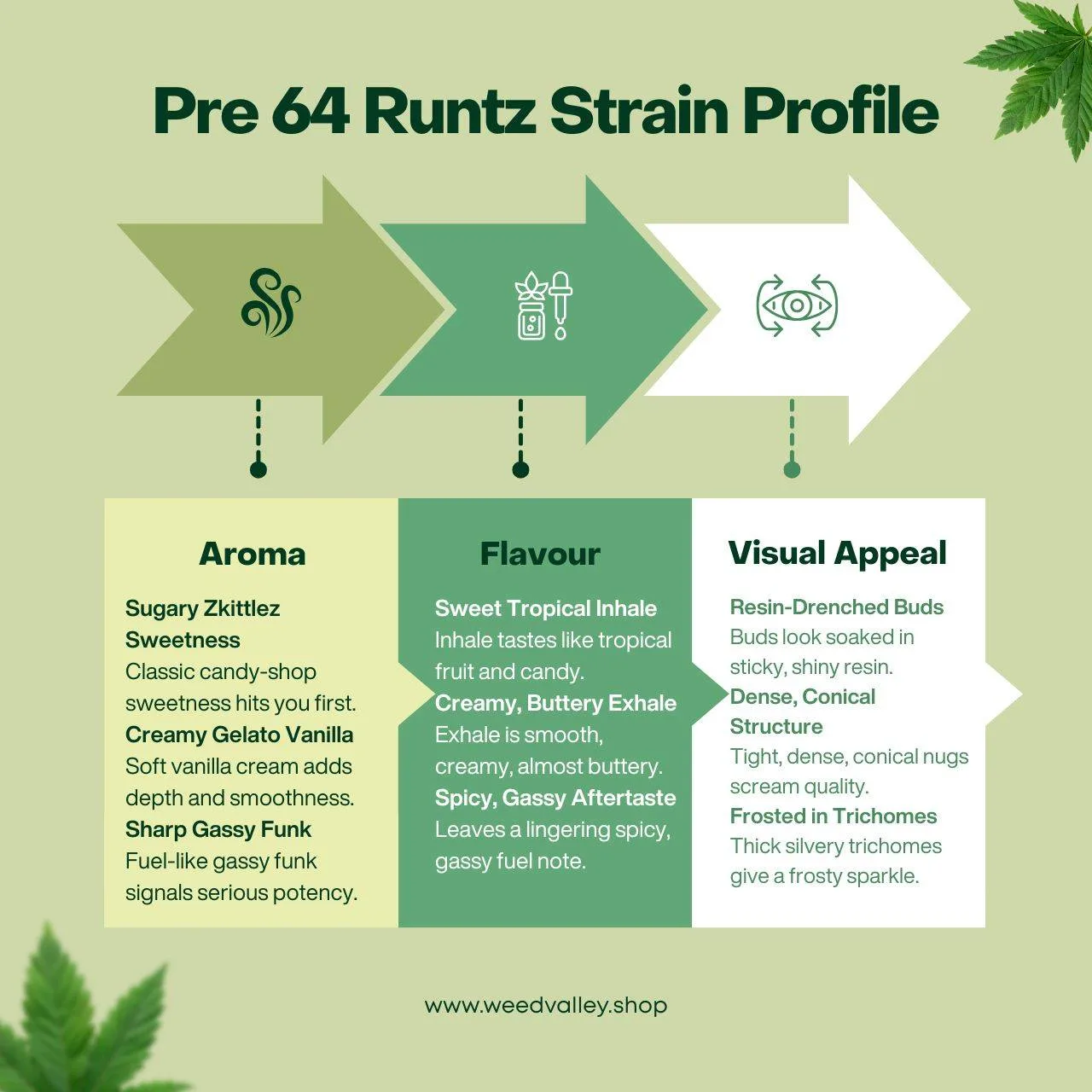 pre-64-runtz-strain-aroma-and-flavour