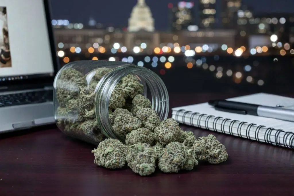 snowflake-marijuana-strain