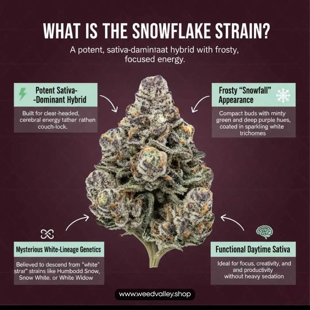 snowflake-strain-vape