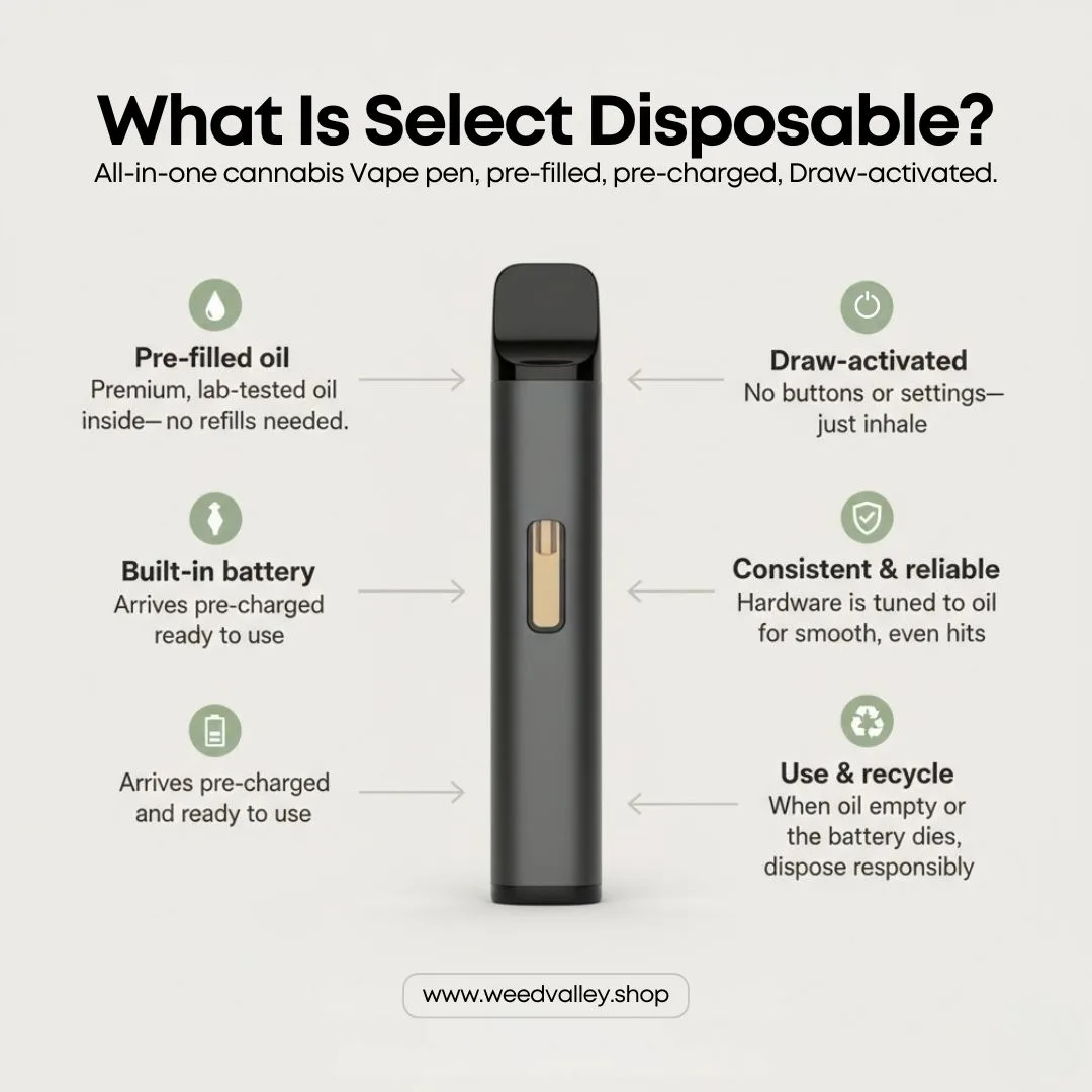 what-is-a-select-disposable-pen