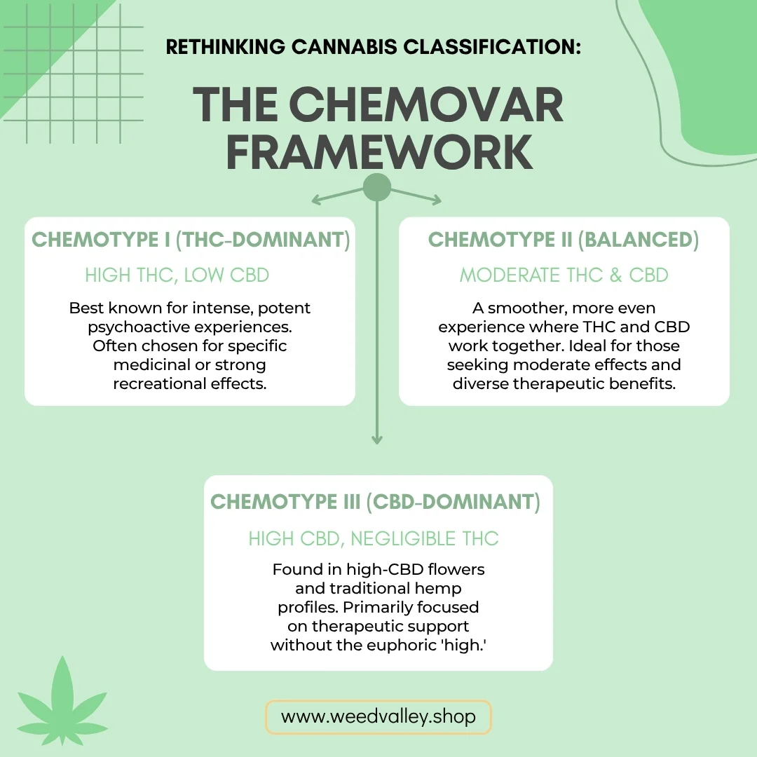 Cannabis chemovar framework: THC-dominant, balanced, and CBD-dominant types. Weedvalley.shop.